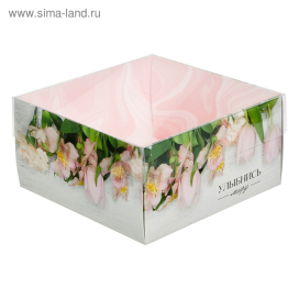 Коробка с PVC-крышкой «Улыбнись миру» 12×6×11,5 см "Атекс" г. Пермь